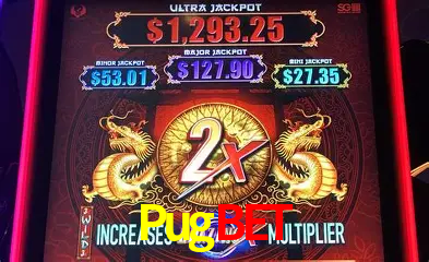 Descubra o Mundo do Cassino Online com Pugbet