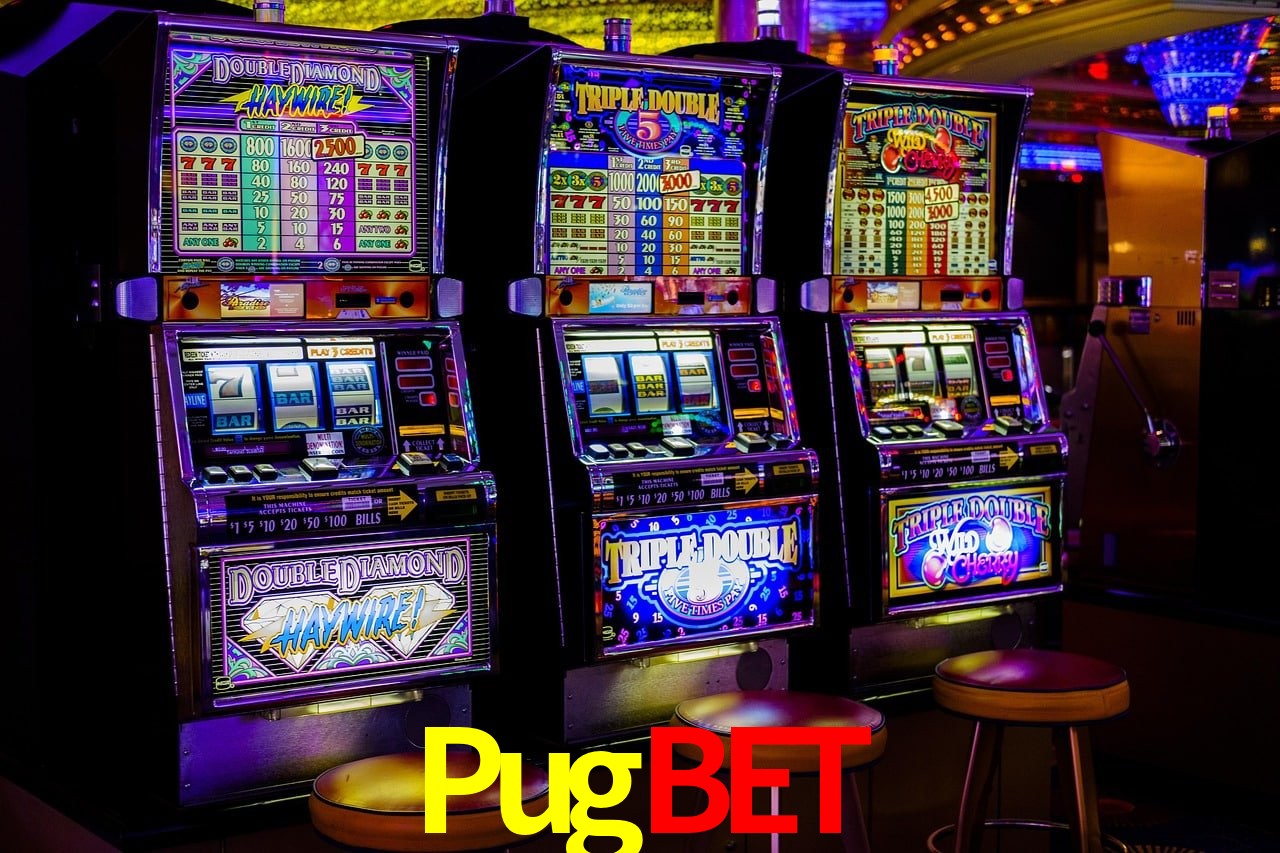 Experiência VIP Pugbet